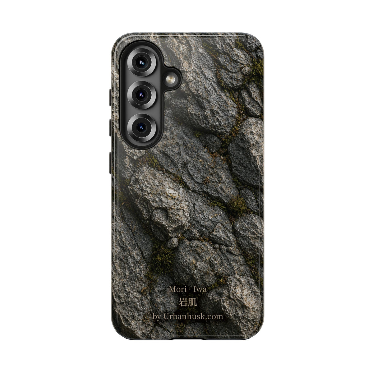 Mori 森 · Iwa 岩肌 (Weathered Stone)