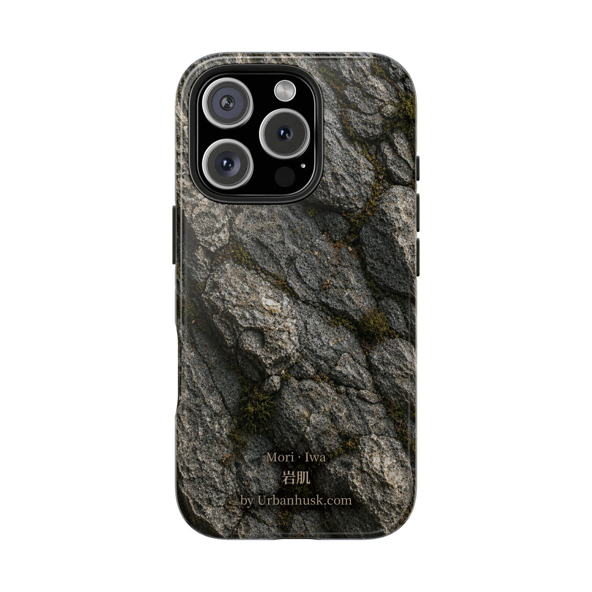 Mori 森 · Iwa 岩肌 (Weathered Stone)