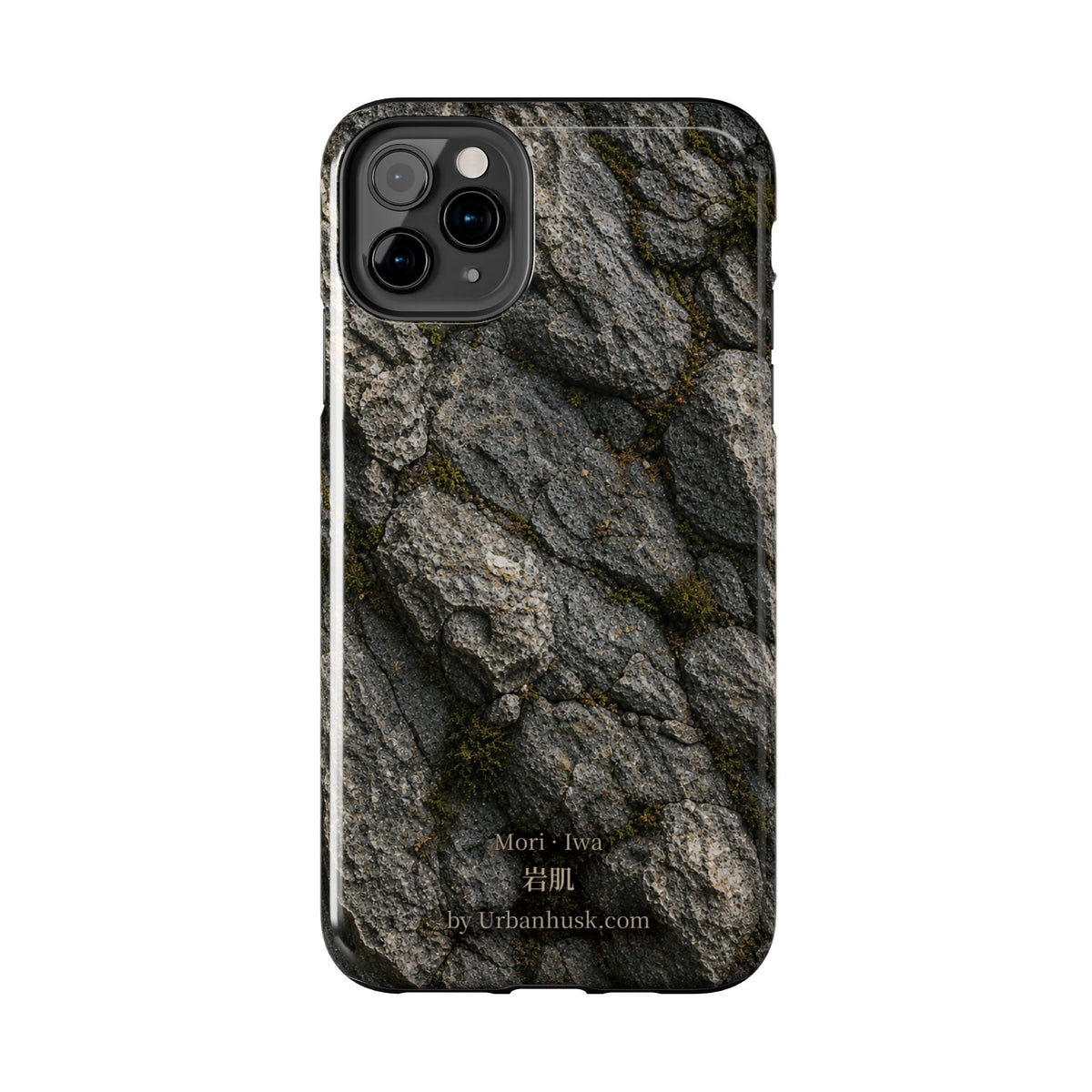 Mori 森 · Iwa 岩肌 (Weathered Stone)