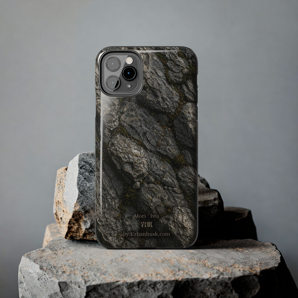 Mori 森 · Iwa 岩肌 (Weathered Stone)