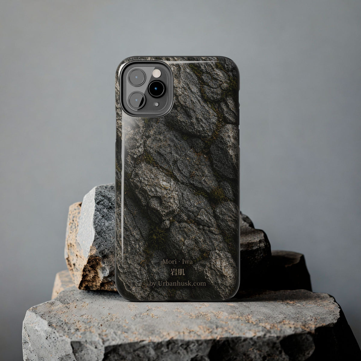 Mori 森 · Iwa 岩肌 (Weathered Stone)