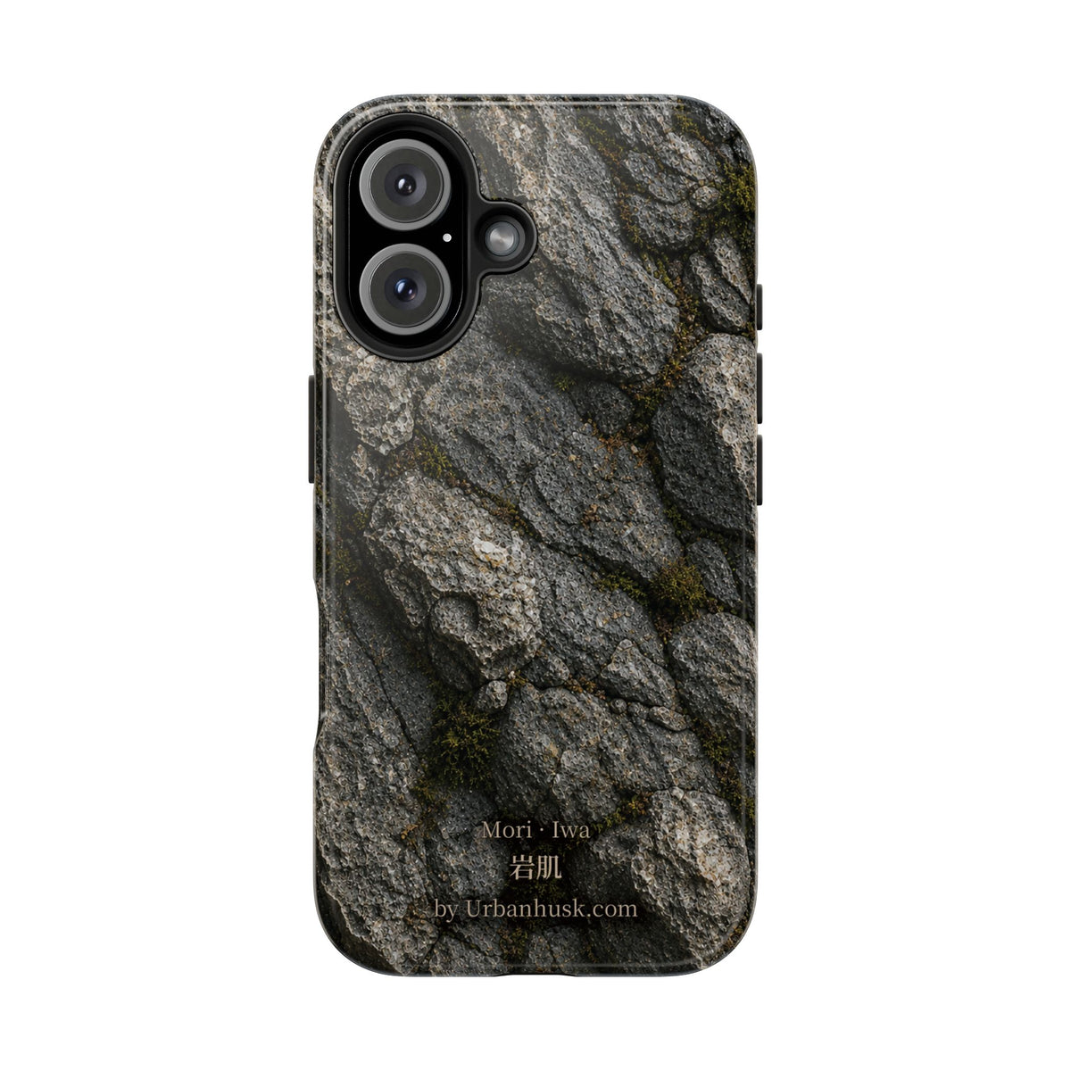Mori 森 · Iwa 岩肌 (Weathered Stone)