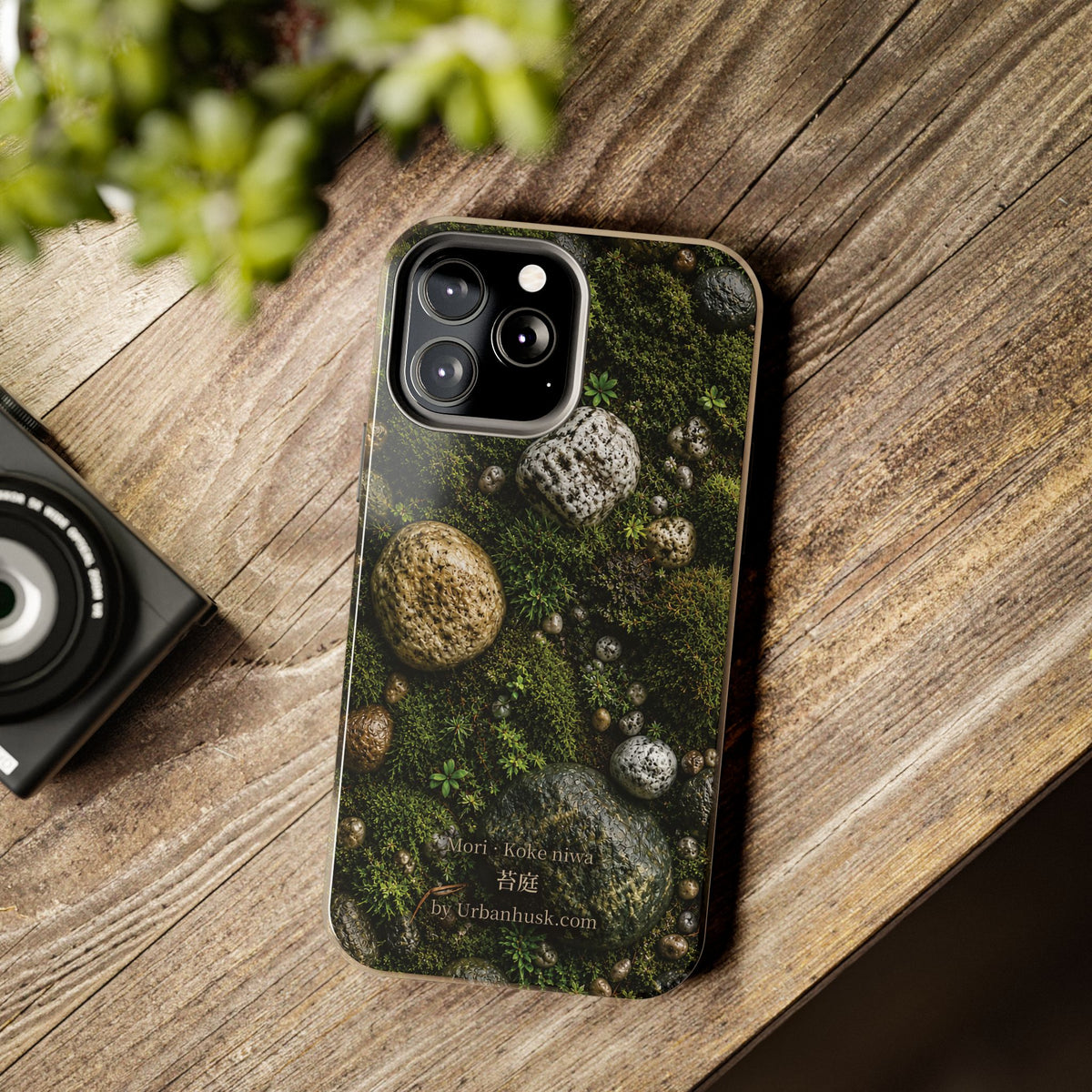 Mori 森 · Koke Niwa 苔庭 (Moss Garden)