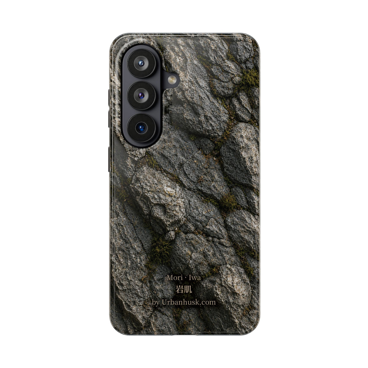 Mori 森 · Iwa 岩肌 (Weathered Stone)