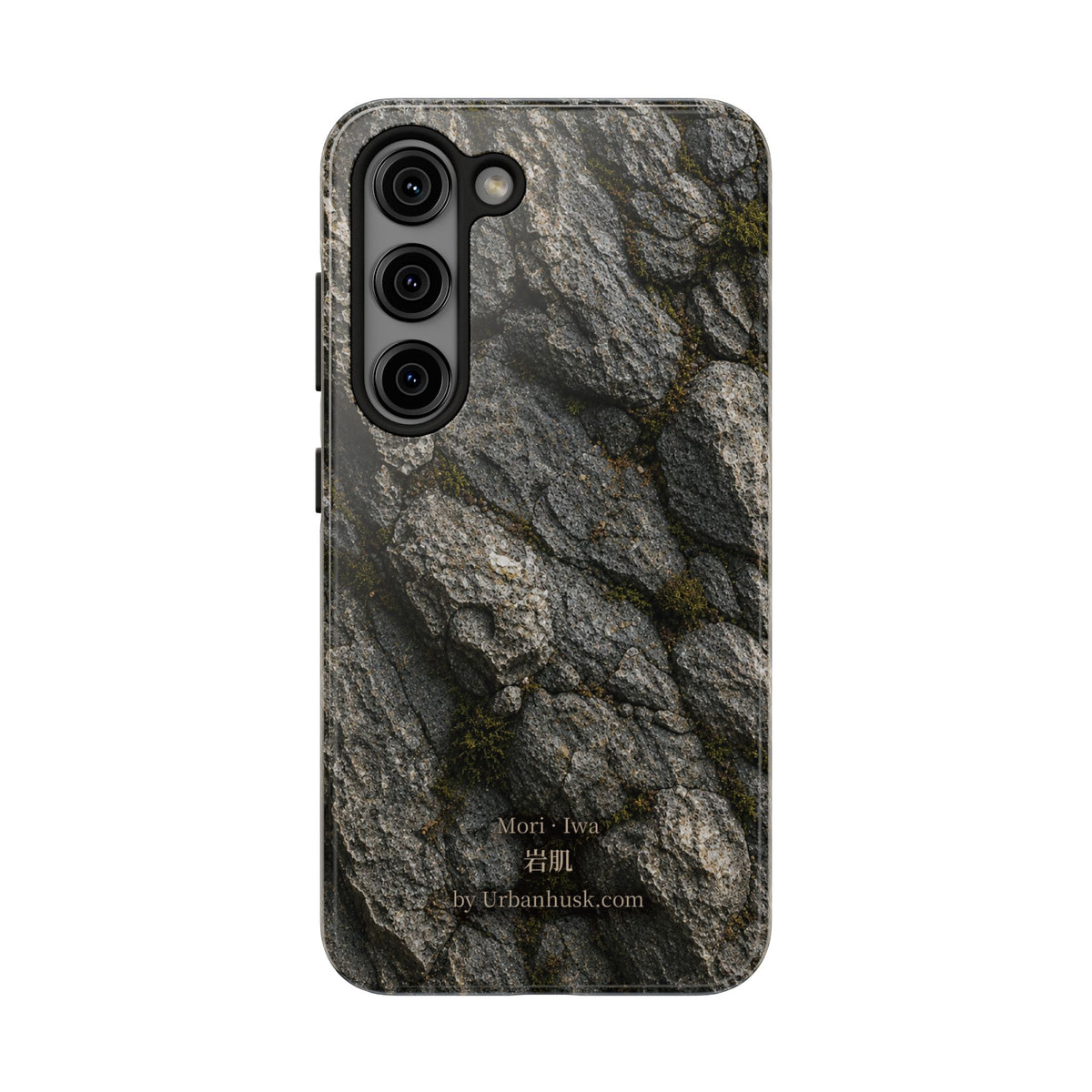 Mori 森 · Iwa 岩肌 (Weathered Stone)