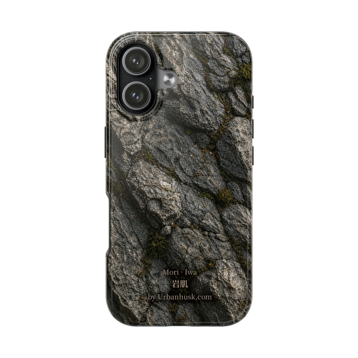 Mori 森 · Iwa 岩肌 (Weathered Stone)