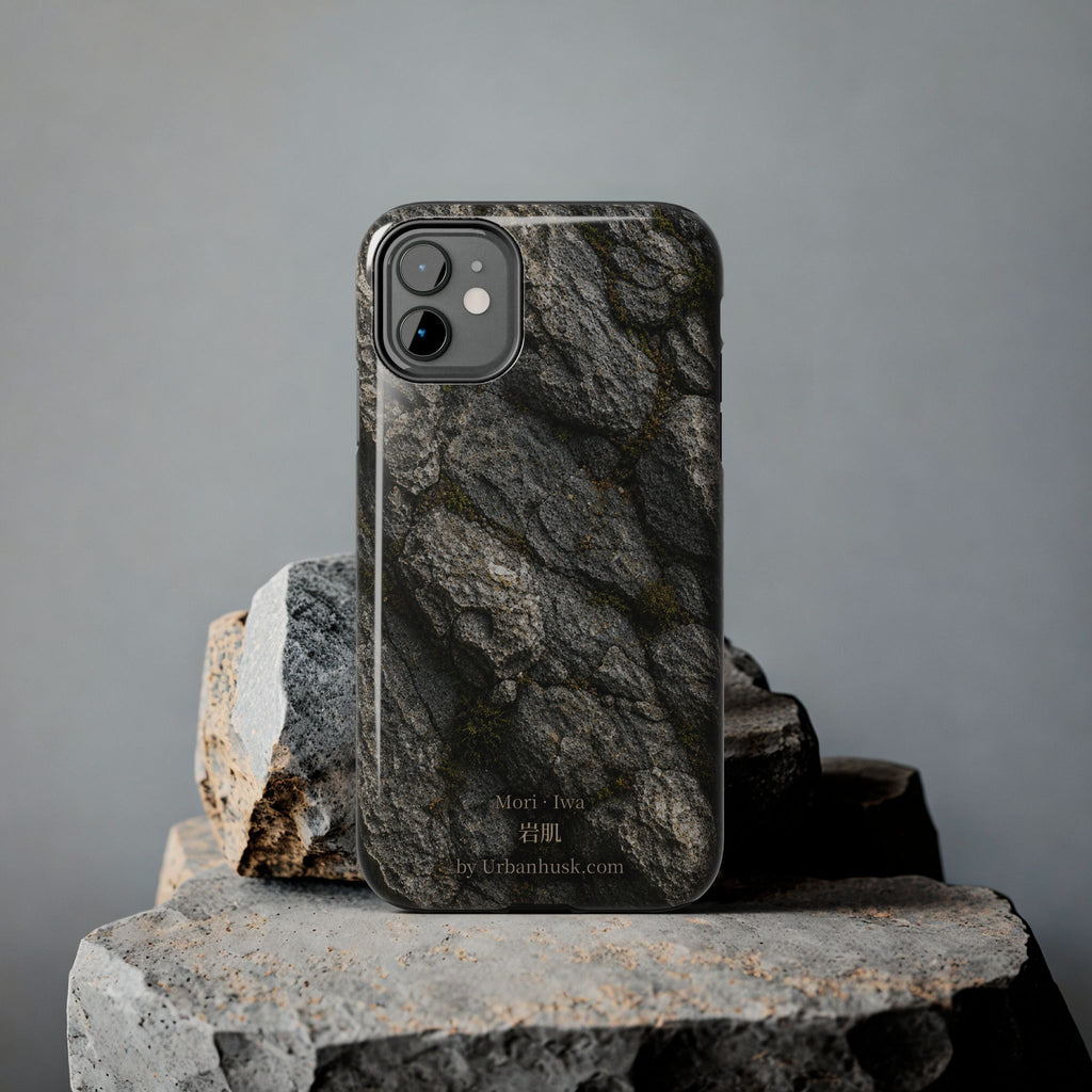 Mori 森 · Iwa 岩肌 (Weathered Stone)