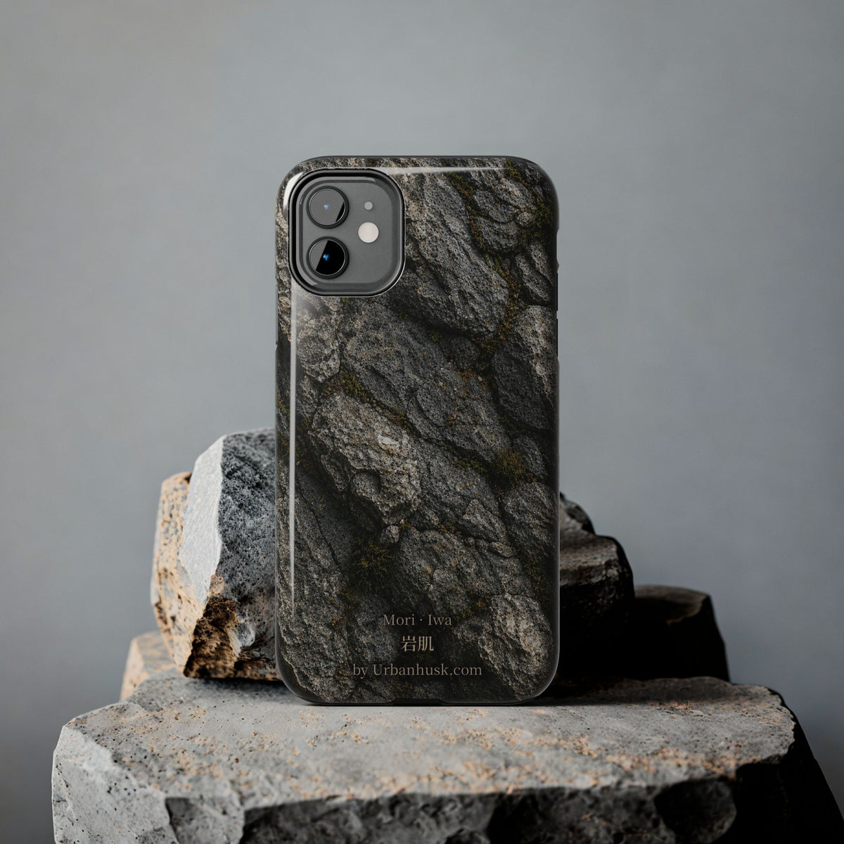 Mori 森 · Iwa 岩肌 (Weathered Stone)