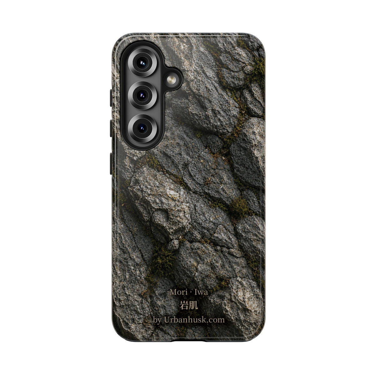 Mori 森 · Iwa 岩肌 (Weathered Stone)