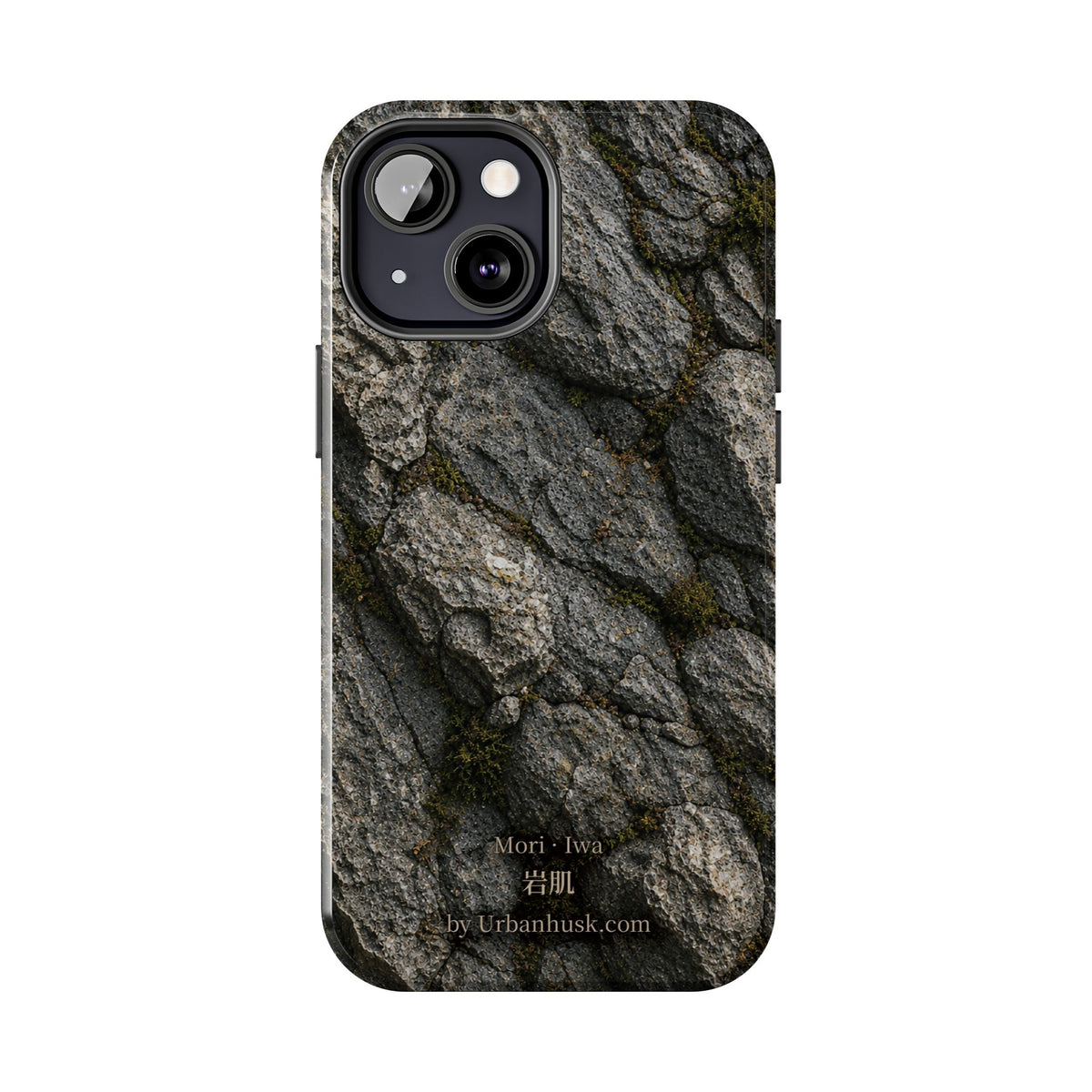 Mori 森 · Iwa 岩肌 (Weathered Stone)