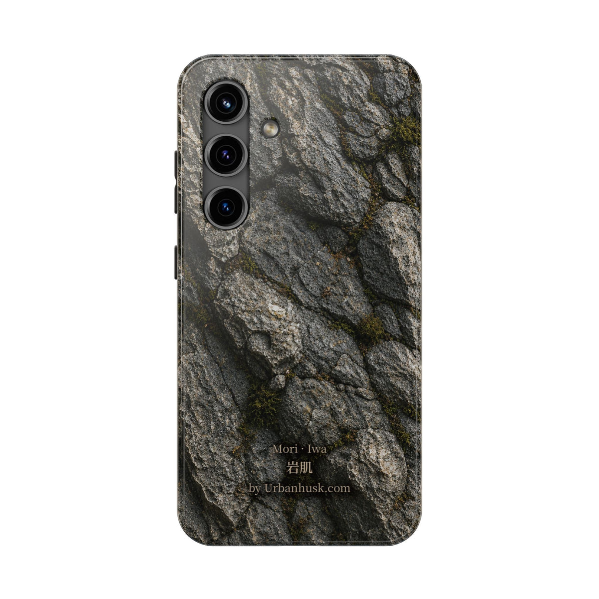 Mori 森 · Iwa 岩肌 (Weathered Stone)