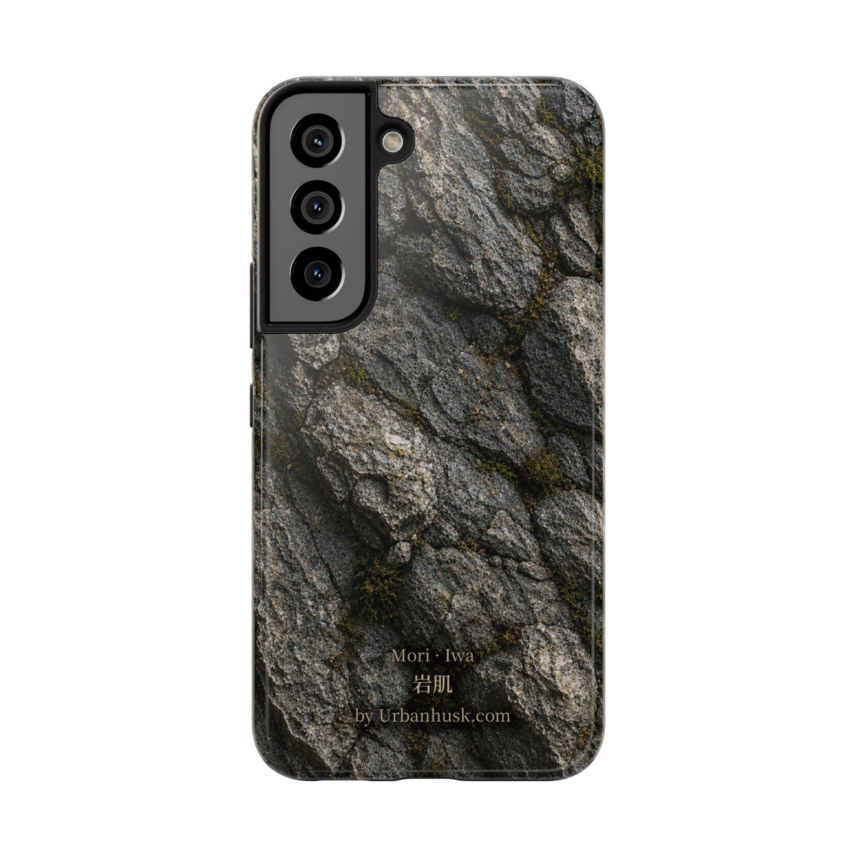 Mori 森 · Iwa 岩肌 (Weathered Stone)