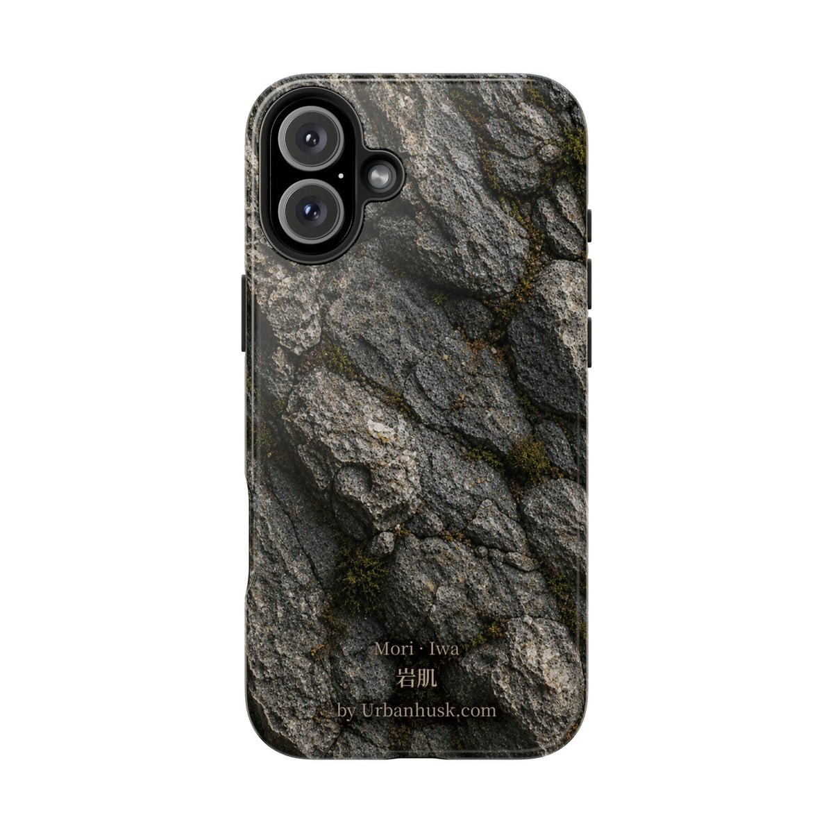 Mori 森 · Iwa 岩肌 (Weathered Stone)