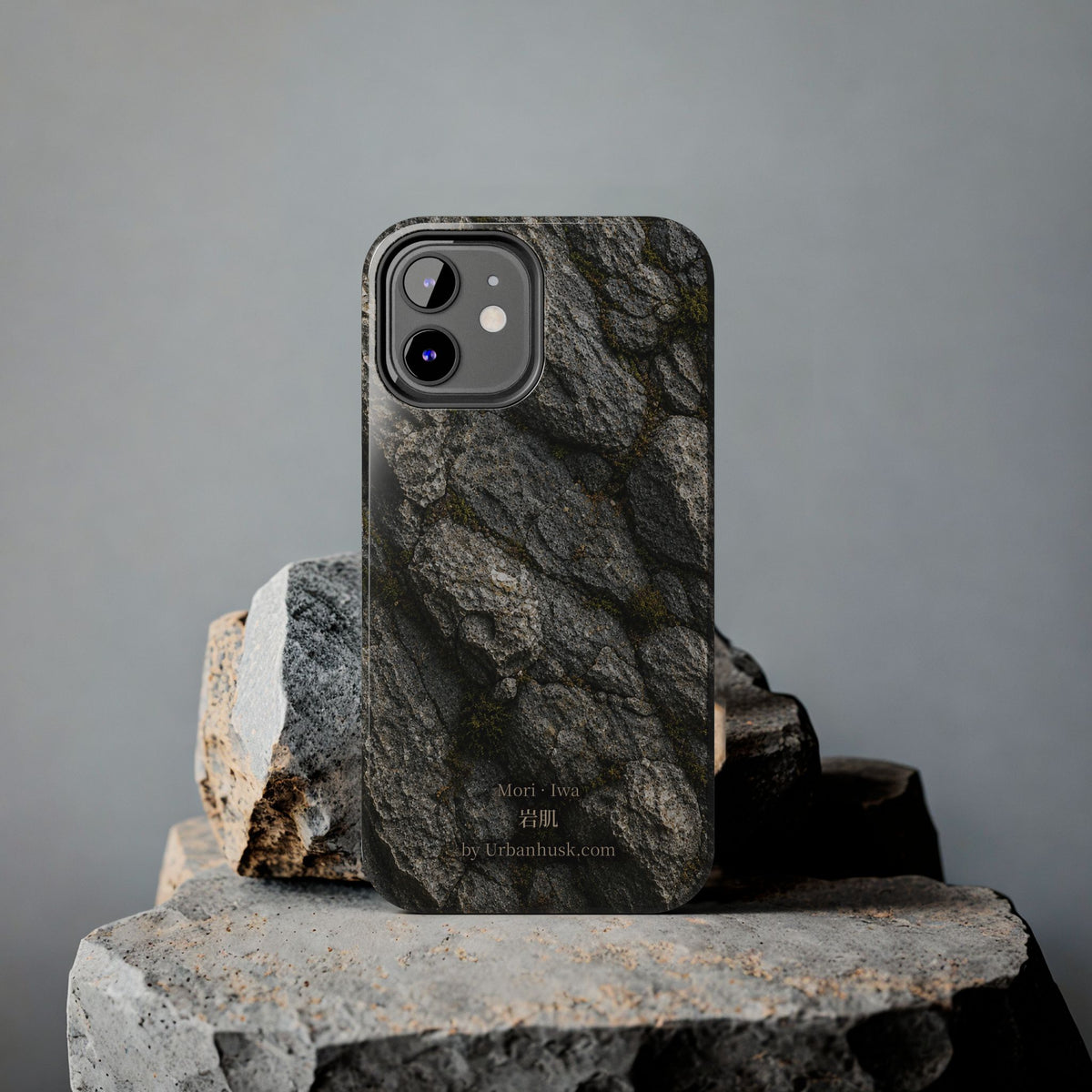 Mori 森 · Iwa 岩肌 (Weathered Stone)