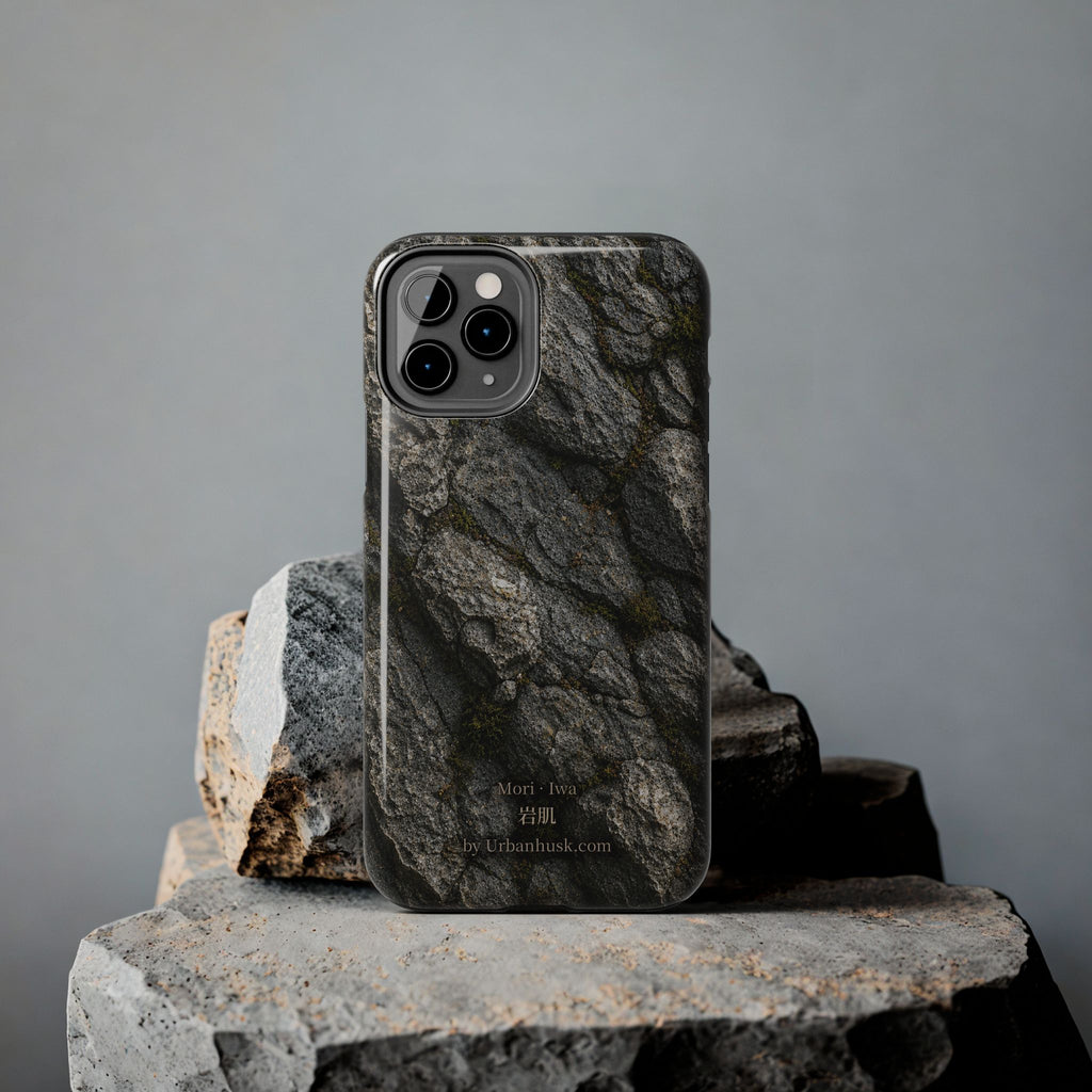 Mori 森 · Iwa 岩肌 (Weathered Stone)