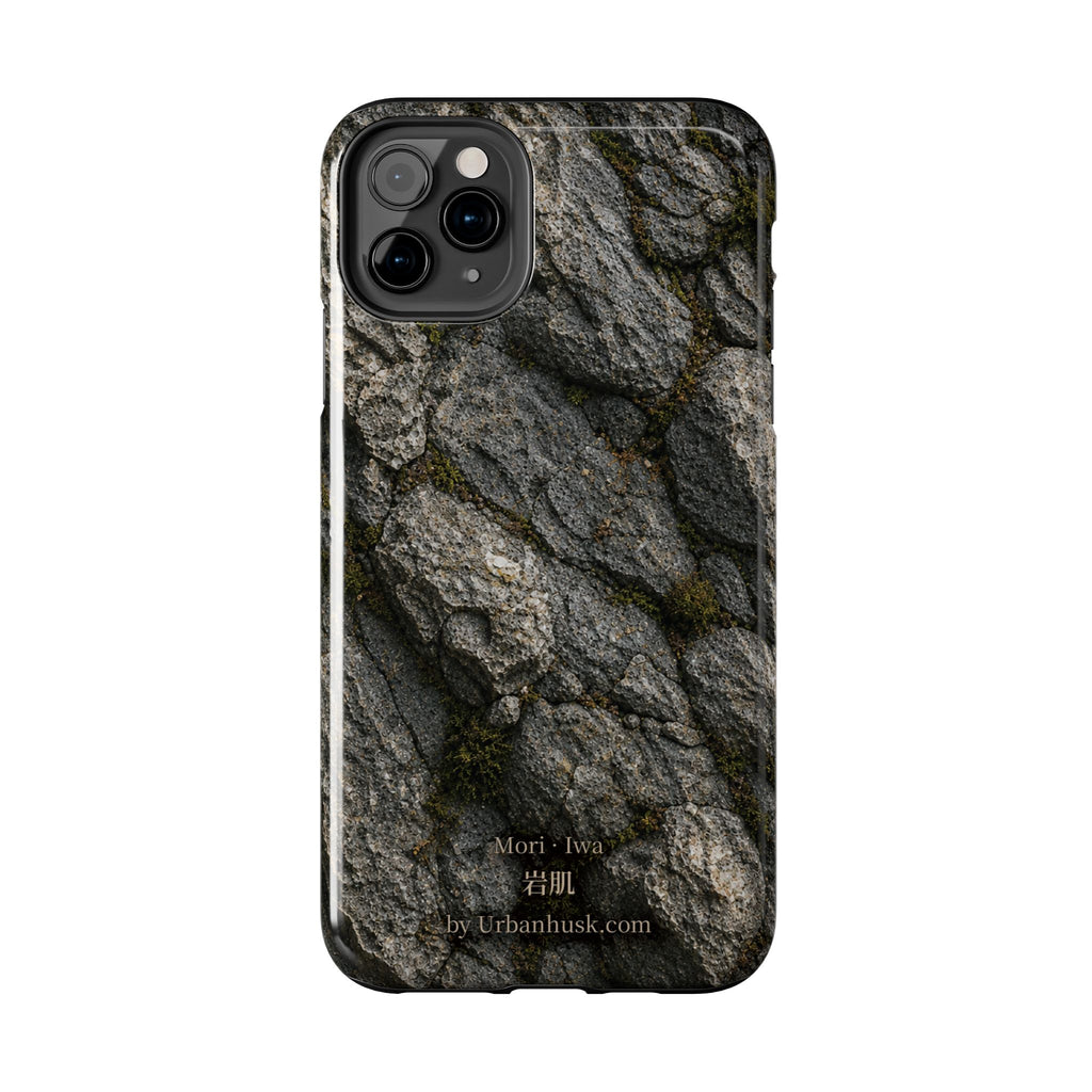 Mori 森 · Iwa 岩肌 (Weathered Stone)