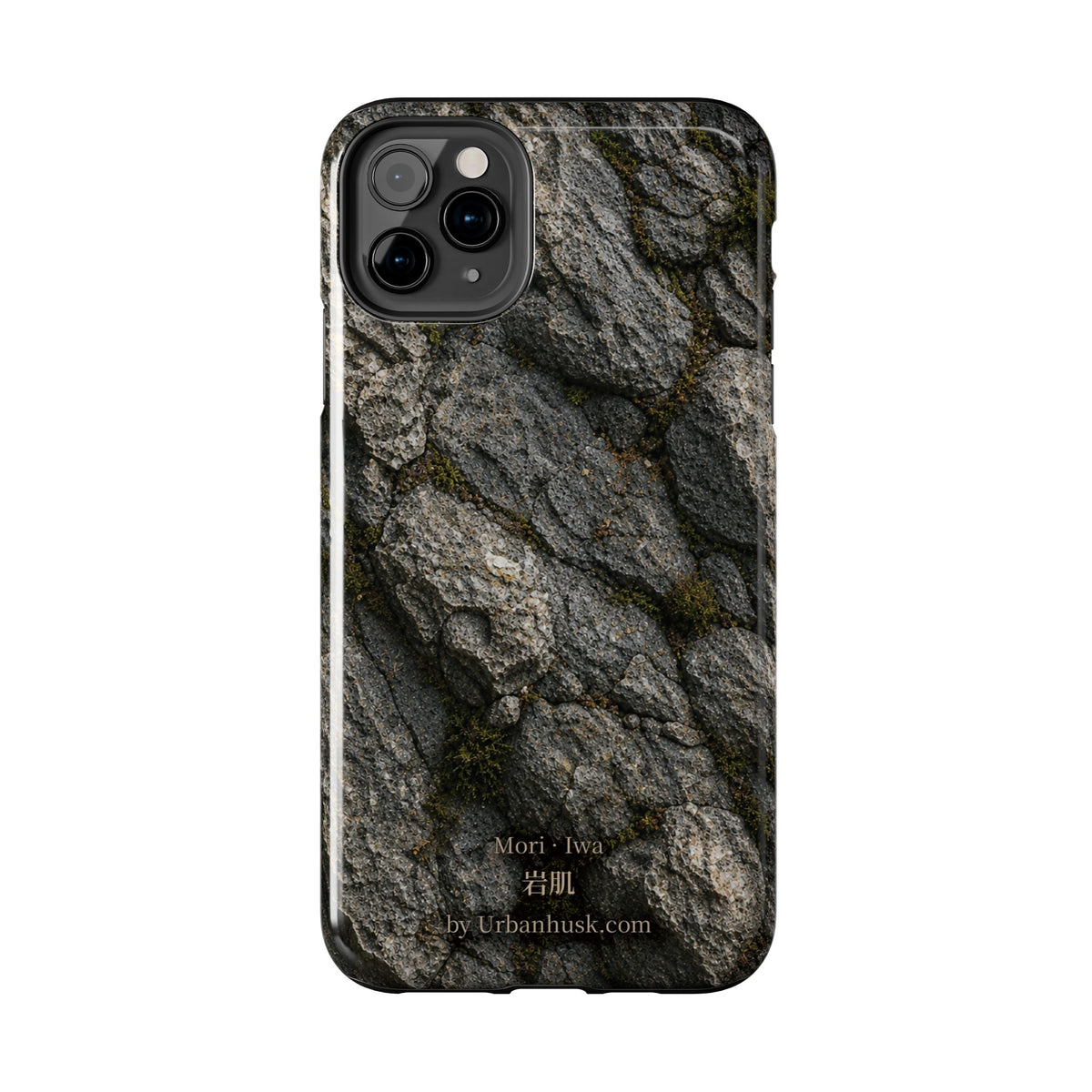 Mori 森 · Iwa 岩肌 (Weathered Stone)