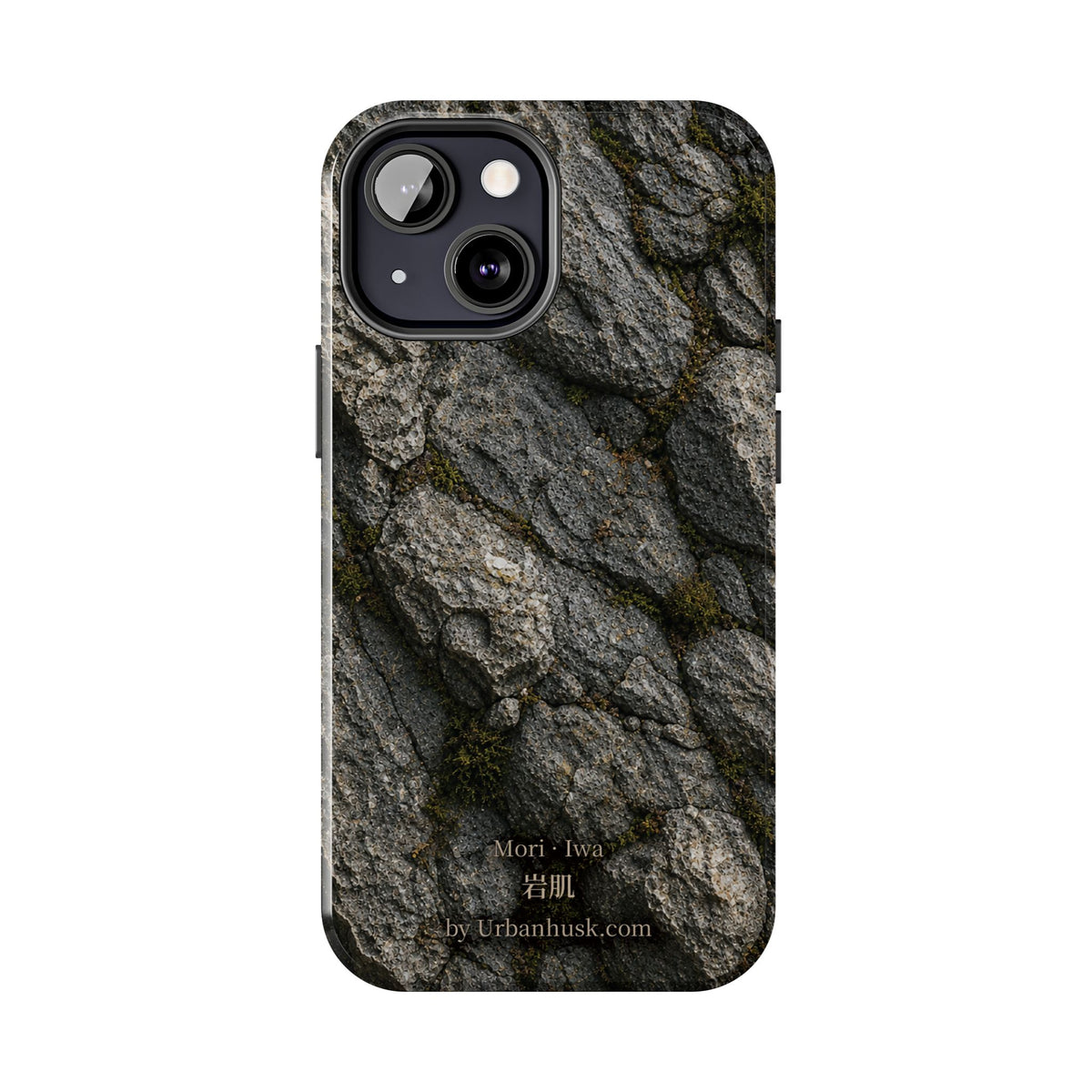 Mori 森 · Iwa 岩肌 (Weathered Stone)