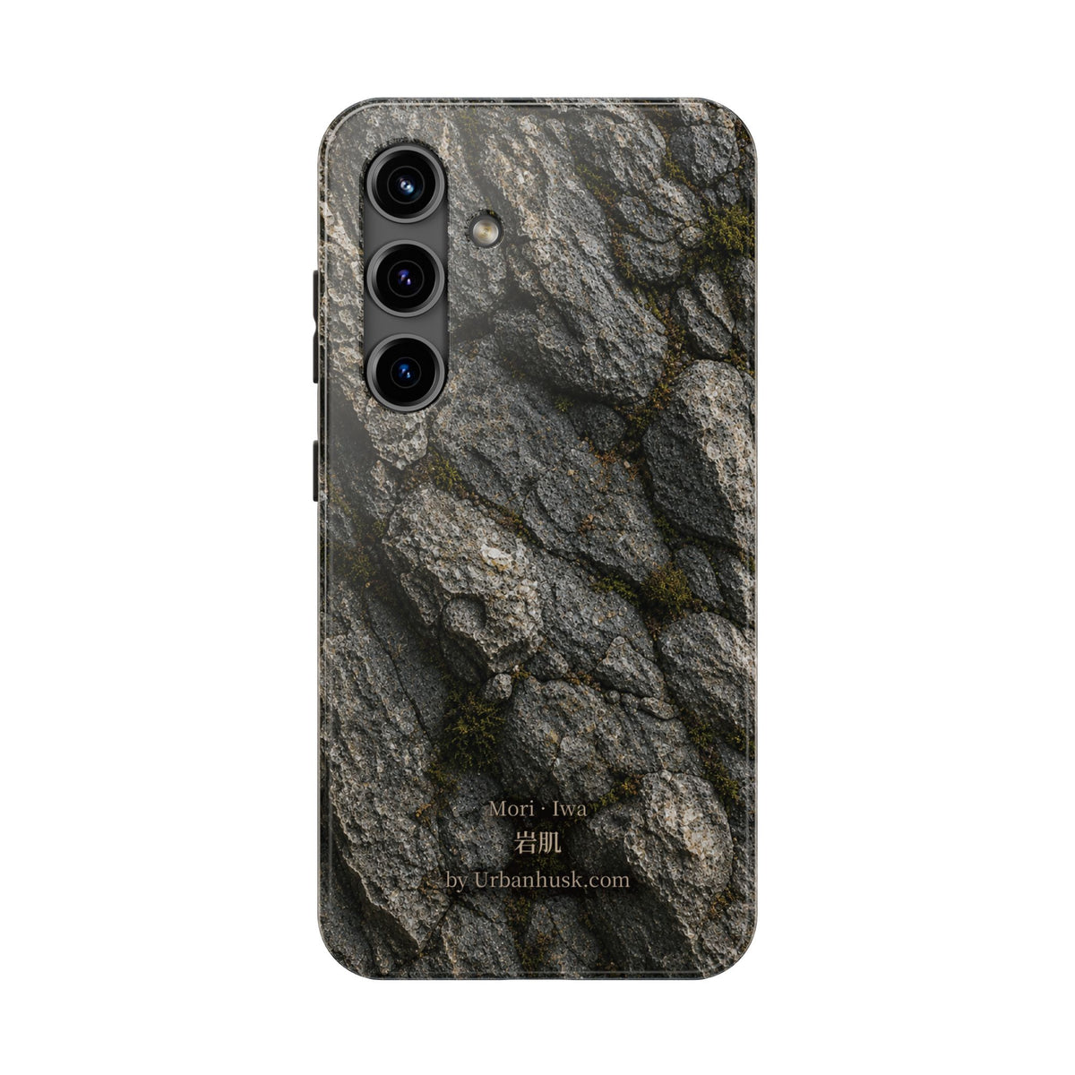 Mori 森 · Iwa 岩肌 (Weathered Stone)