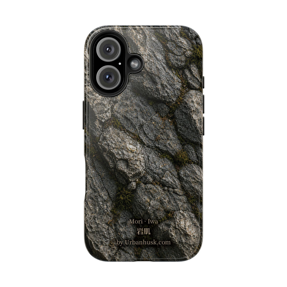 Mori 森 · Iwa 岩肌 (Weathered Stone)