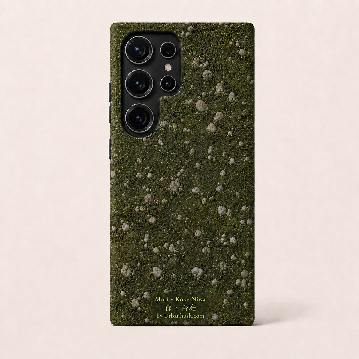 Mori 森 • Koke Niwa 苔庭 (Moss Garden)