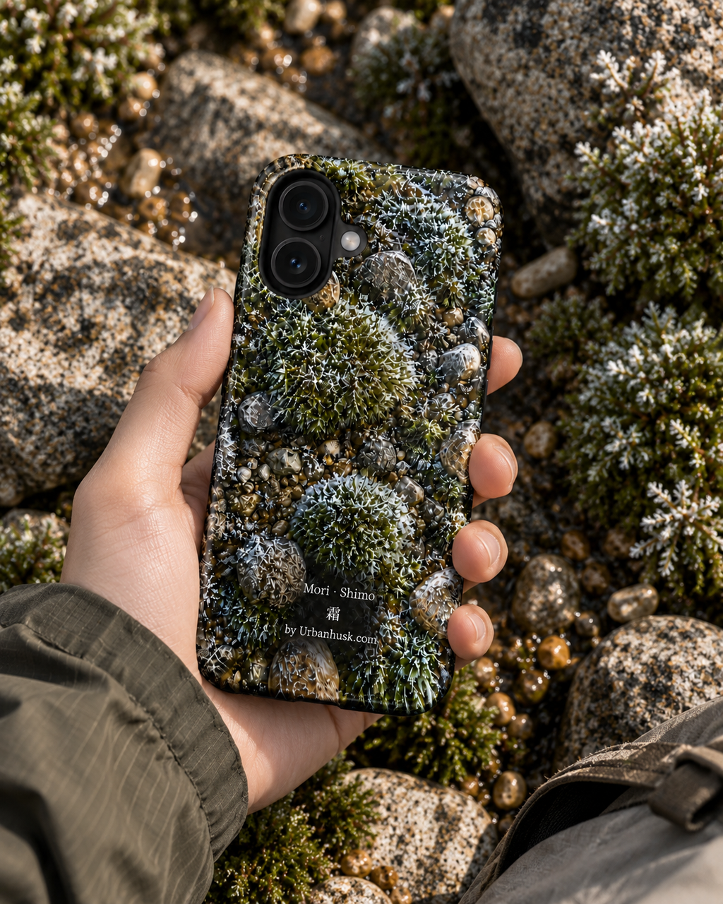 Mori 森 · Shimo 霜 (Frosted Forest) for iPhone 17